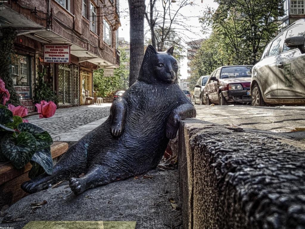 ការយកចិត្តទុកដាក់ចំពោះព័ត៌មានថ្មីៗ