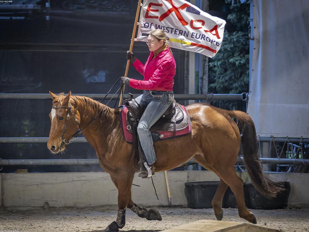 ការប្រកួតកីឡា និងជំនួយ: ការបង្កើនភាពជោគជ័យក្នុងការប្រកួត